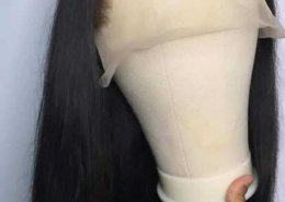 Human hair wig (2)