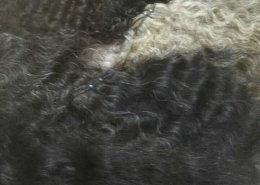 Remy hair (2)